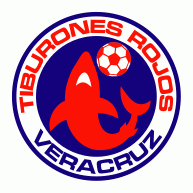 Veracruz Pres Primary Logo t shirt iron on transfers